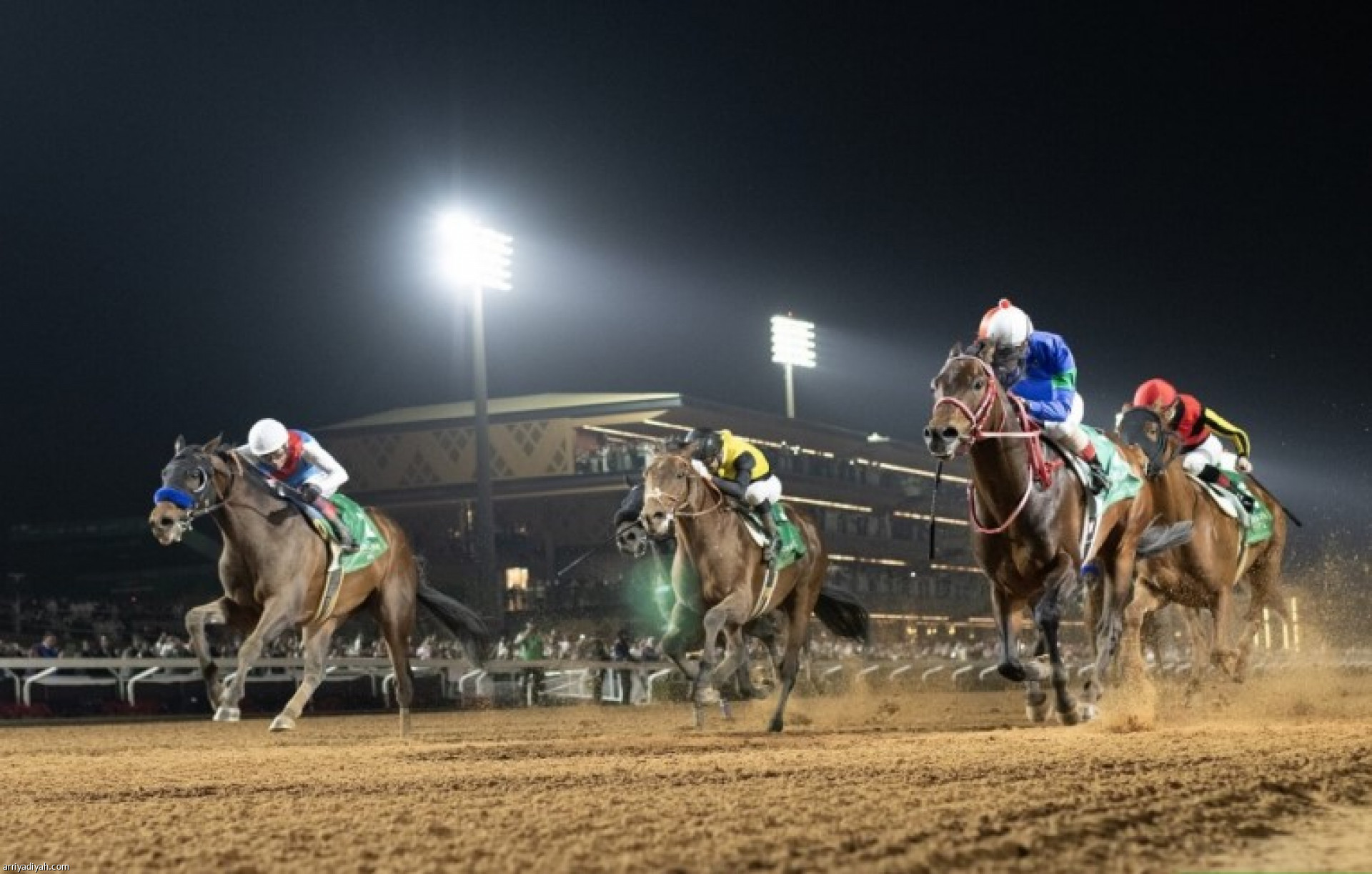 Saudi Horse Racing Club Launches Academy with 60 Stables