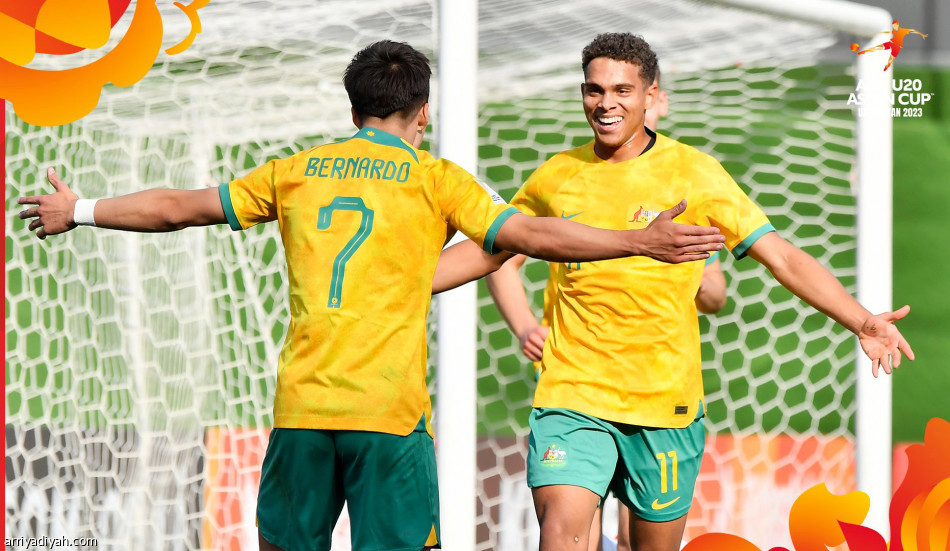 الحديقة
تجهز الصقور