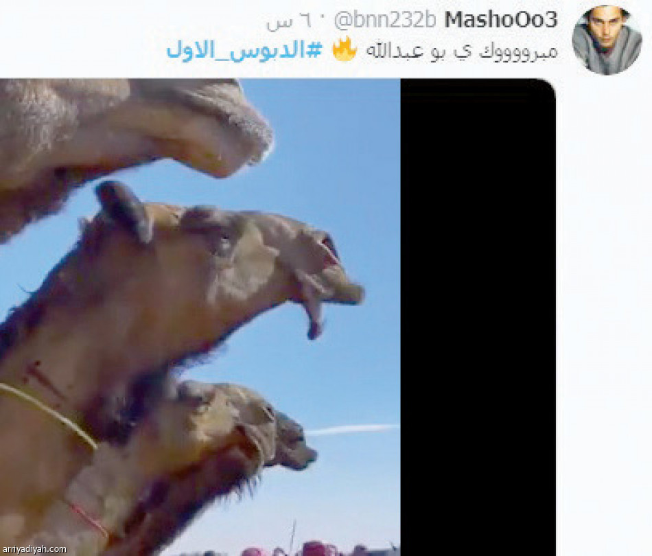#ابن_دغيثر
يتصدر بـ 44 ألف تغريدة