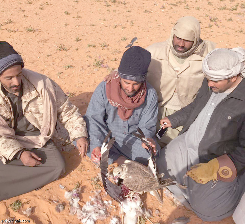صوره التقطت أمس الأول للدماسي وزملائه في الرحلة أثناء طرح حبارى (الرياضية)