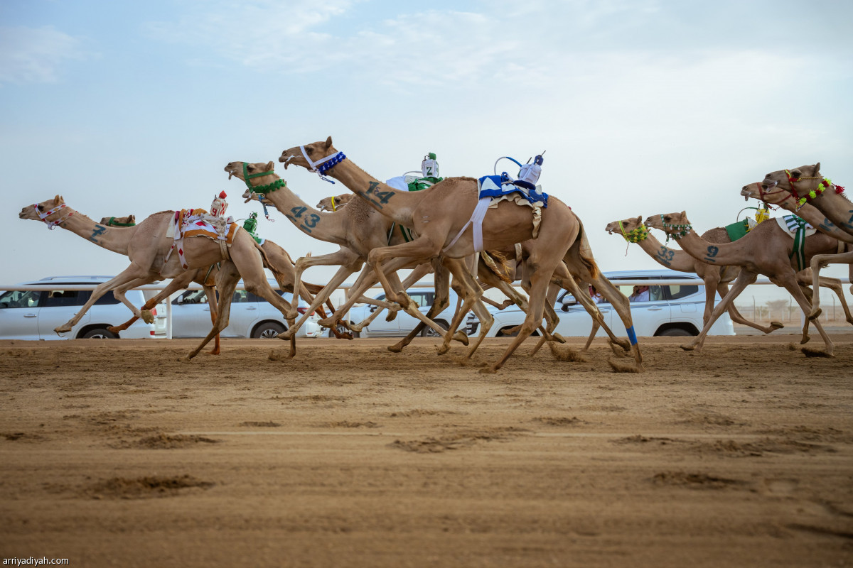 سيطرة سعودية