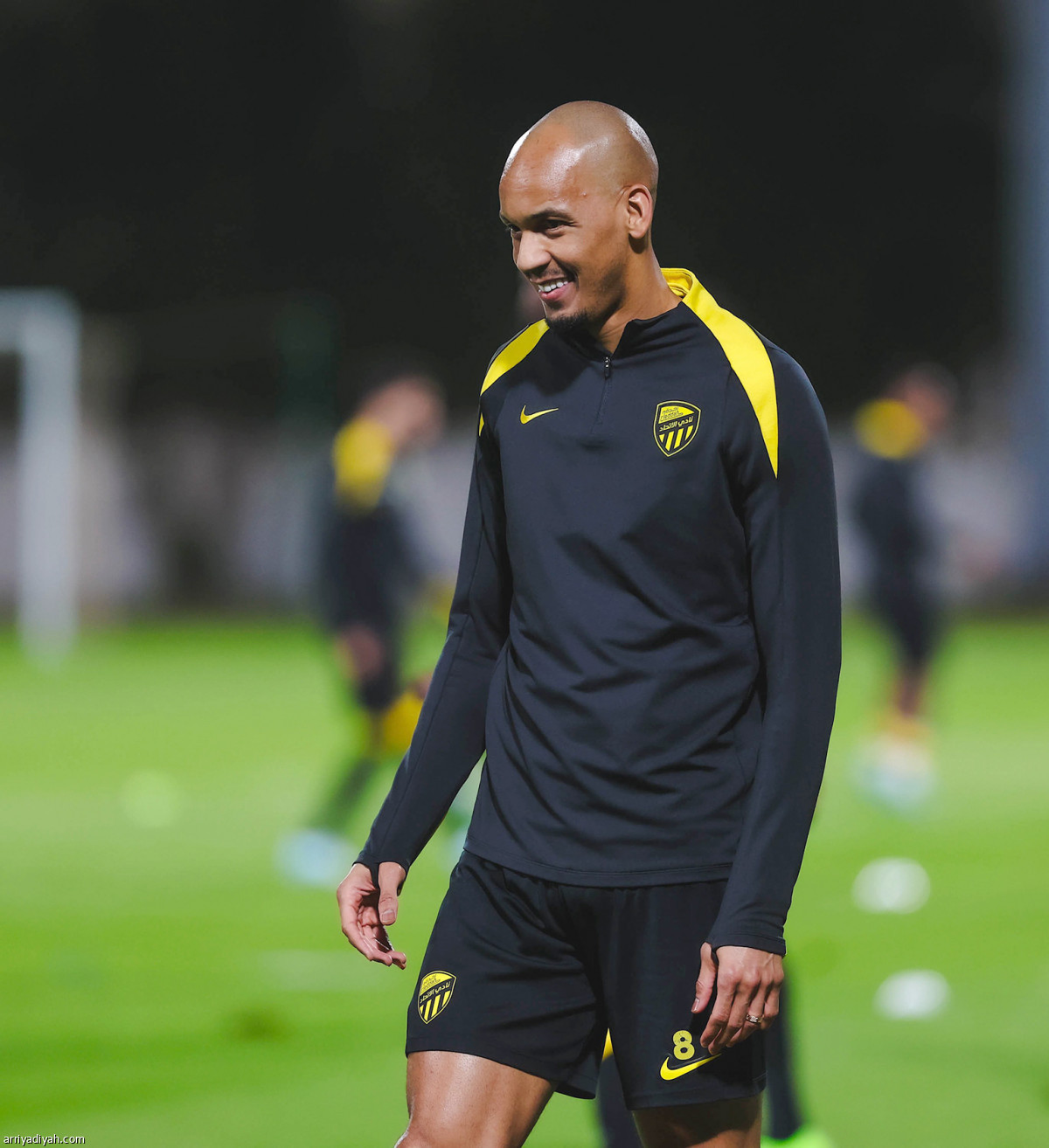 النمور تعاود الركض