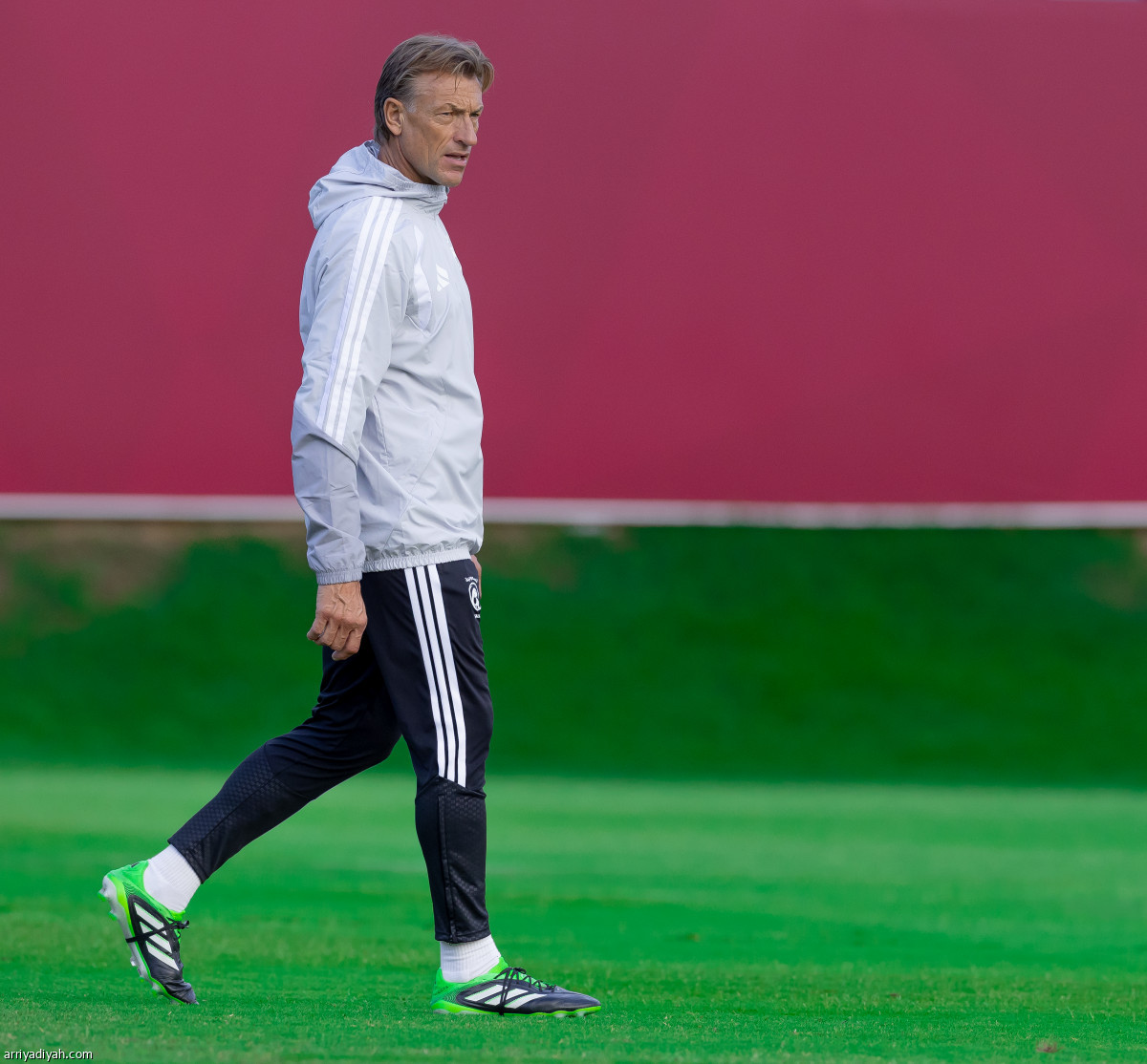 الأخضر يعود