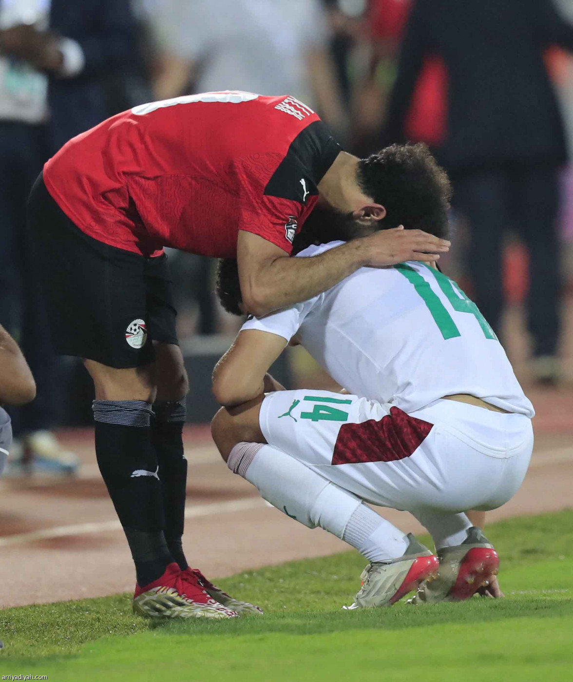 المغرب.. وداع حزين