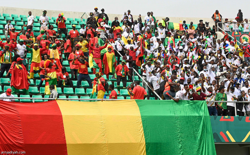 السنغال وغينيا يتشاركان النقاط والصدارة