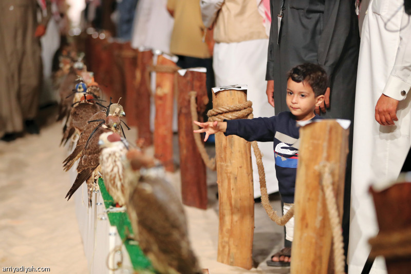 «الصقور الأول»
يحتضن 250 عارضا