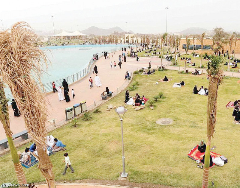 صورة التقطت أمس من أحد المتنزهات في محافظة الطائف (واس)