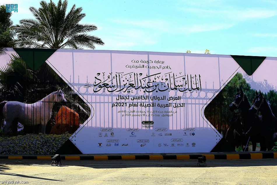 غدا.. انطلاق العرض الدولي الخامس لجمال الخيل العربية