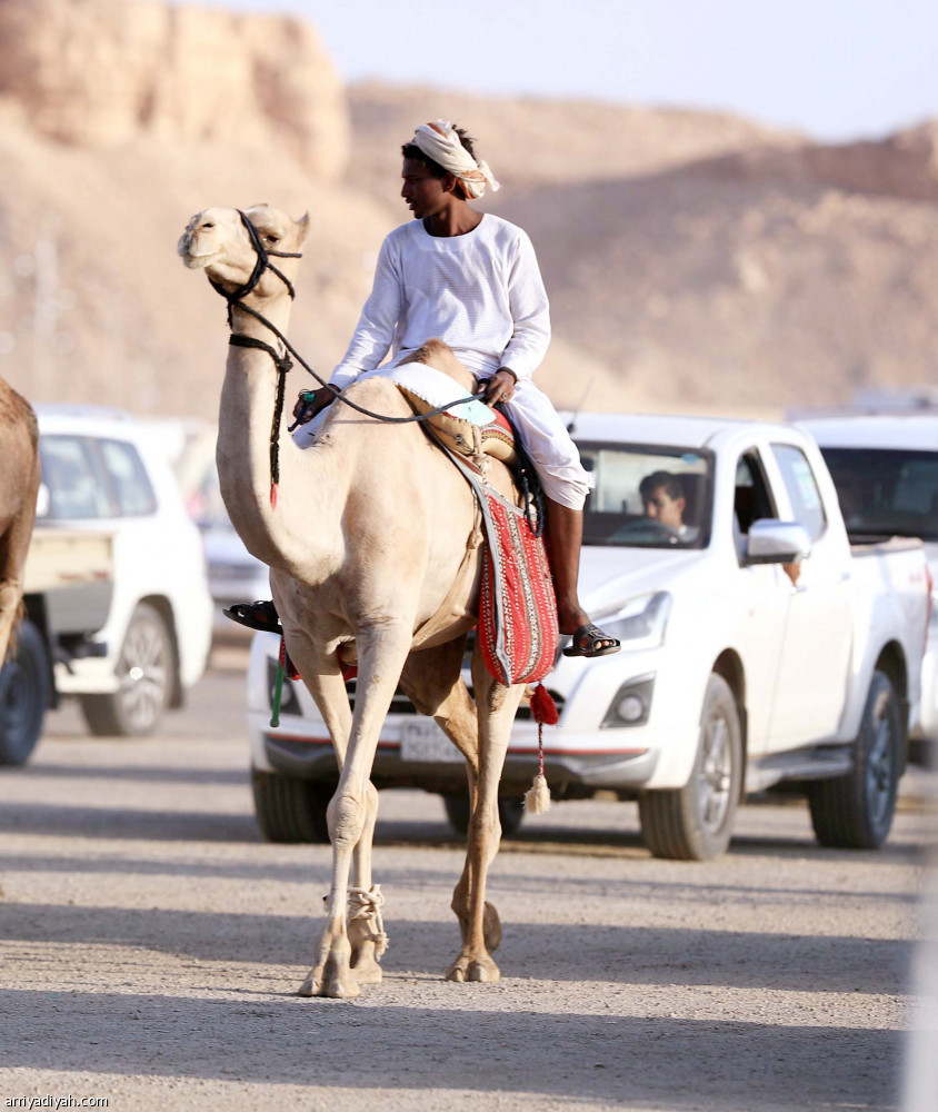 صفقات عنيزة.. 
17 مليون ريال