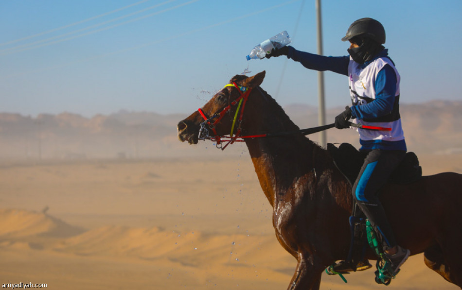 العلا تحتضن كأس خادم الحرمين الشريفين للقدرة والتحمل