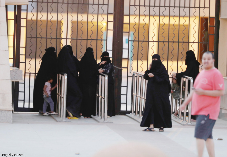 تذاكر النهائي.. 
ازدحام تحت الشمس