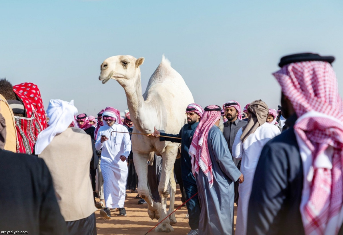 مسيرة الجماهير