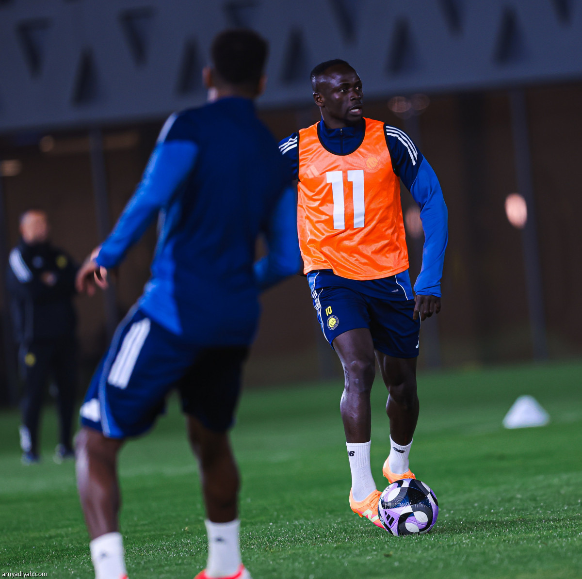 تكريم «الأسد»