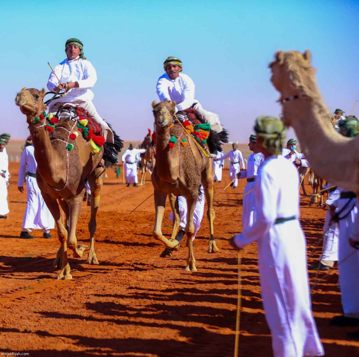 مهرجان المؤسس.. عروض مميزة