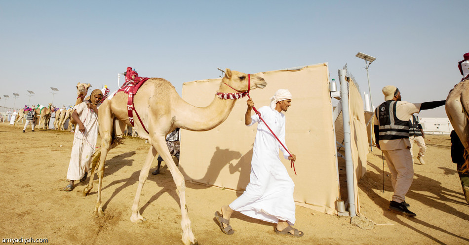 «سيوف»..
انتقال ملكية
وتوقيت أسرع