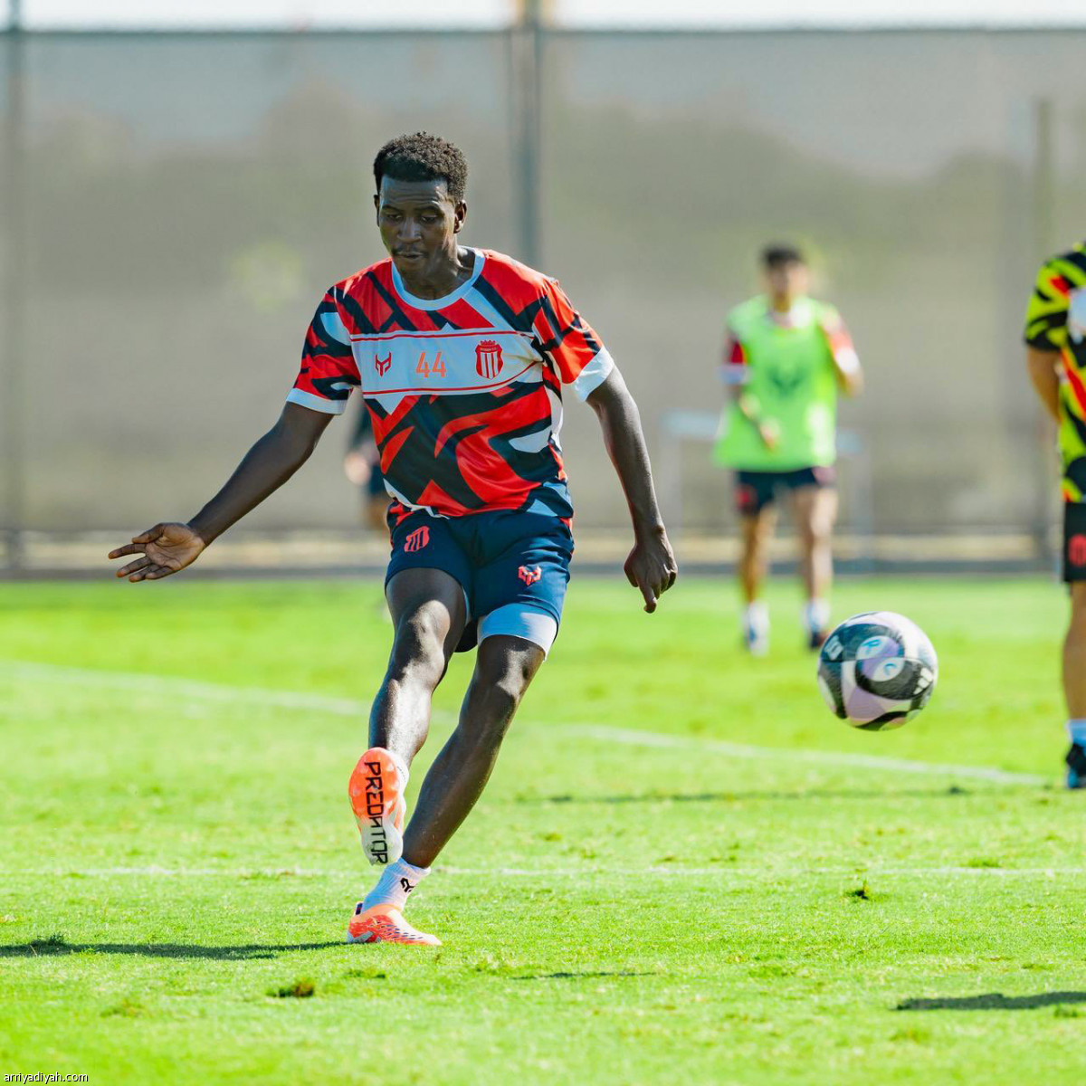 كارينيو يناور