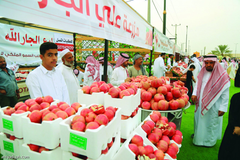 صورة التقطت أمس لأحد كبار السن أثناء زيارته مهرجان الرمان الثالث تصوير: عبد العزيز السعودي