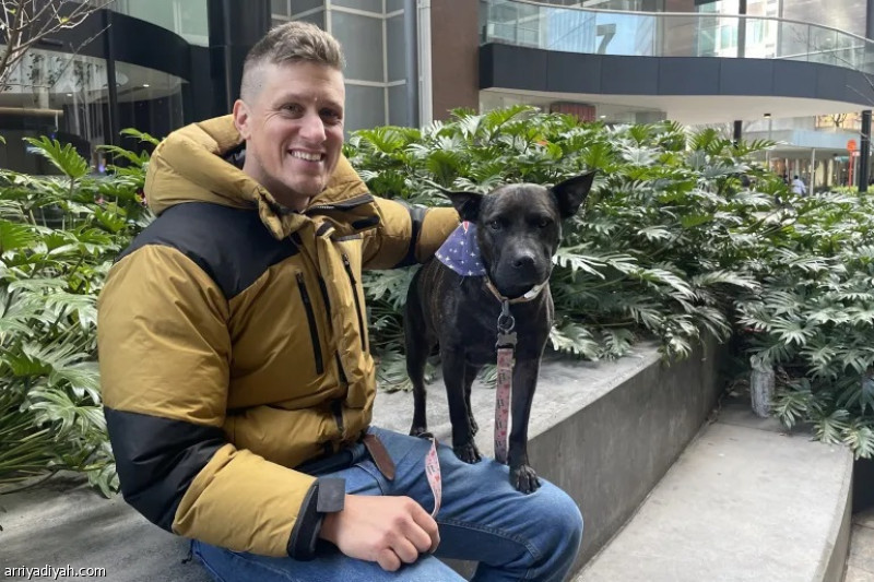 الذكاء الاصطناعي ينقذ كلبة من الموت