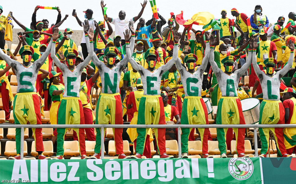 السنغال وغينيا يتشاركان النقاط والصدارة