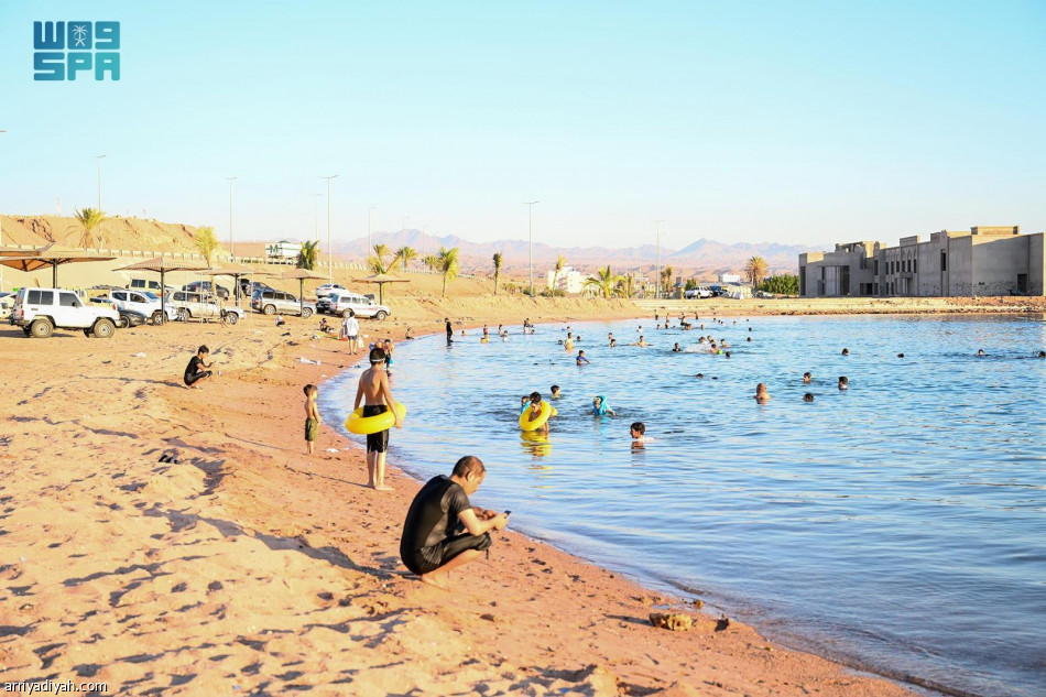 «أم عنم».. وجهة زوار حقل الصيفية