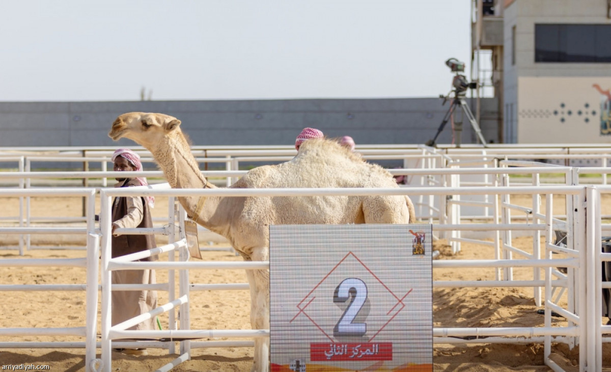 مفاريد الجادة