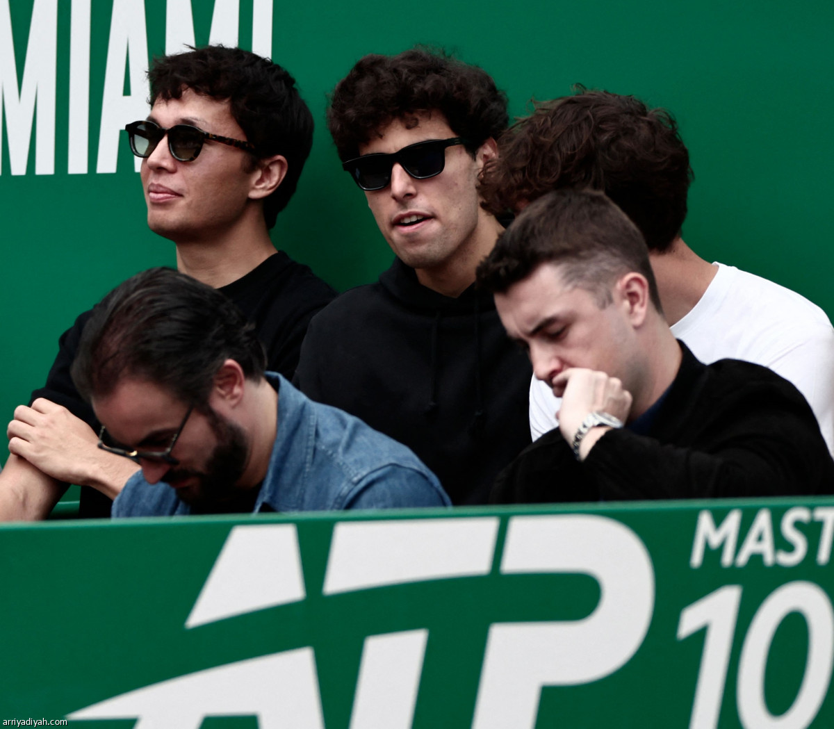 المشاهير يحضرون