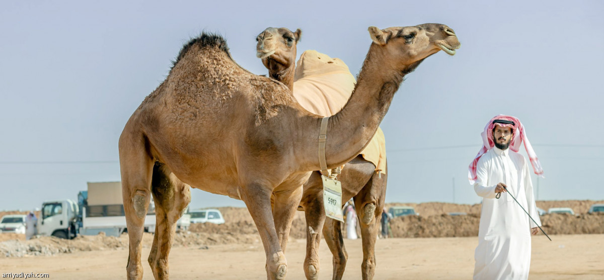 احتفالات الملاك