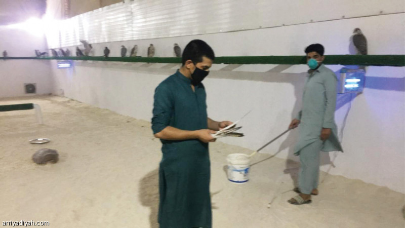 صورة التقطت أمس لعمالة في مربط نجد أثناء عملهم في ظل وجود جائحة كورونا (صورة خاصة بالرياضية)