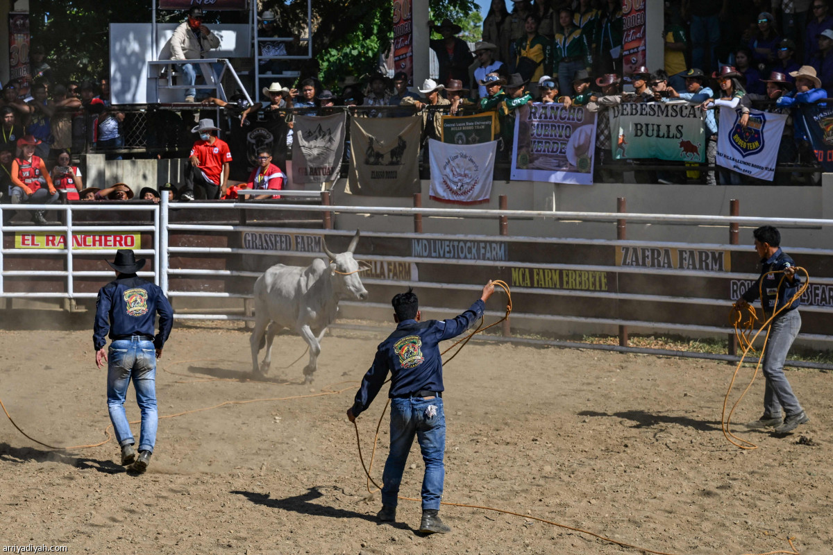 ركوب الثيران