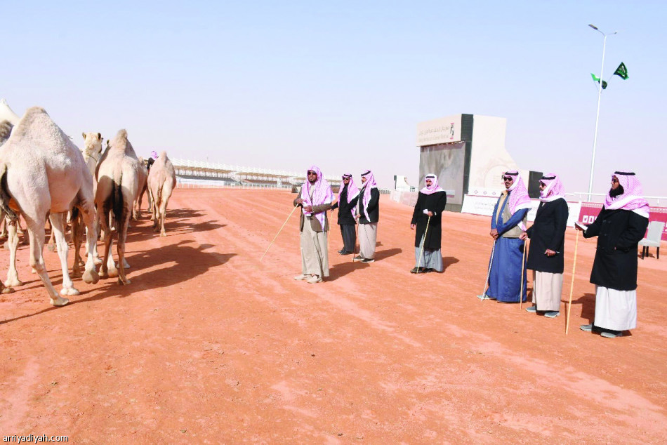 الطوافح تحصد إنجازها الــ11 في الحمر.. وشقح الغيثات تحافظ على مركزها
