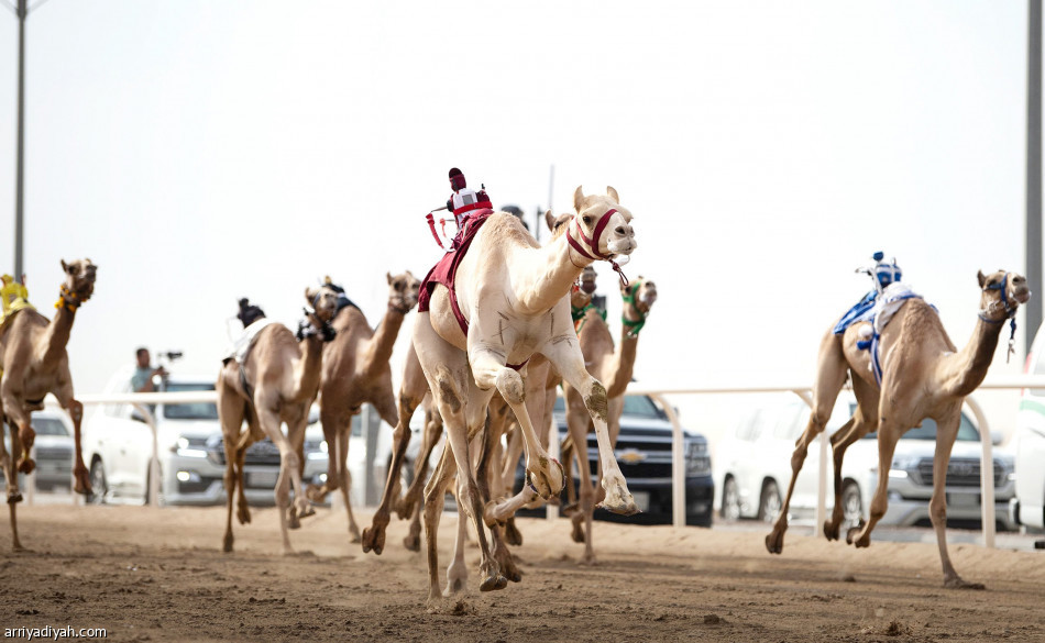 مهرجان ولي العهد..
انتصارات خليجية