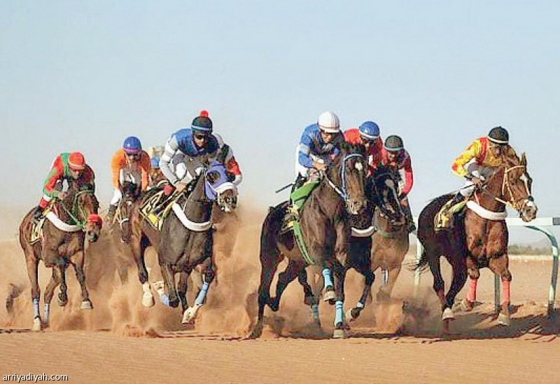 صورة التقطت أمس من منافسات سباق حائل الـ 12 الذي تكون من أربعة أشواط (المركز الإعلامي ـ ميدان حائل)