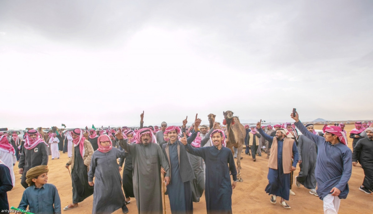 جادة حائل.. تحدي ملاك الإبل