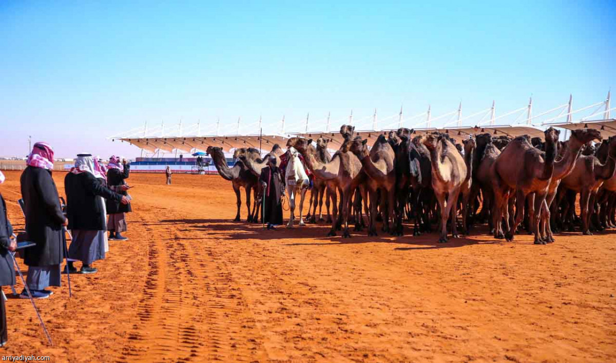 مهرجان المؤسس.. عروض مميزة