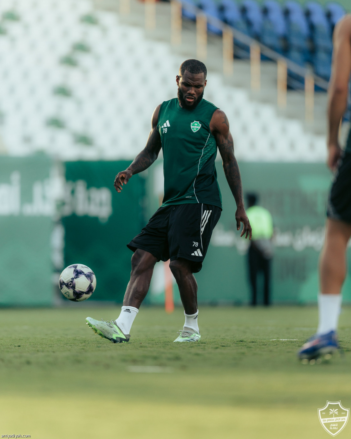 حامل اللقب جاهز