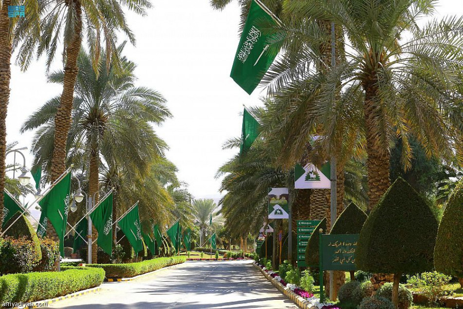 غدا.. انطلاق العرض الدولي الخامس لجمال الخيل العربية