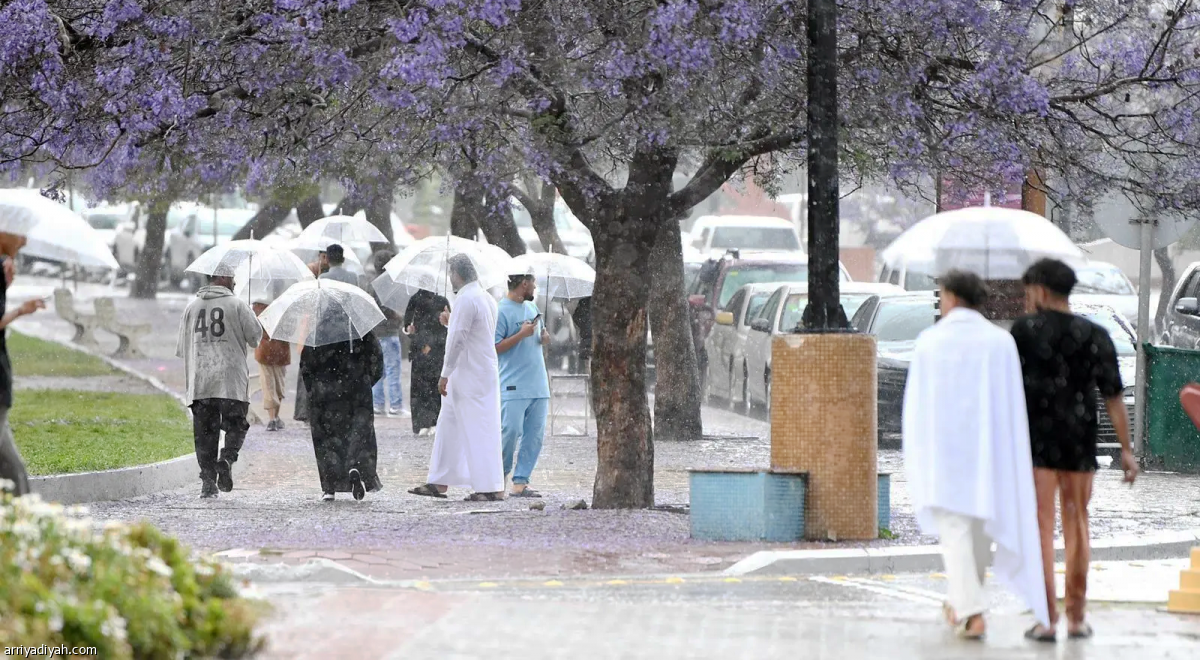 عسير.. تطلق «تراها تهول»