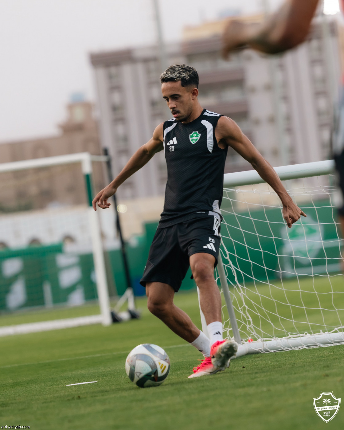 الأهلي يستعد