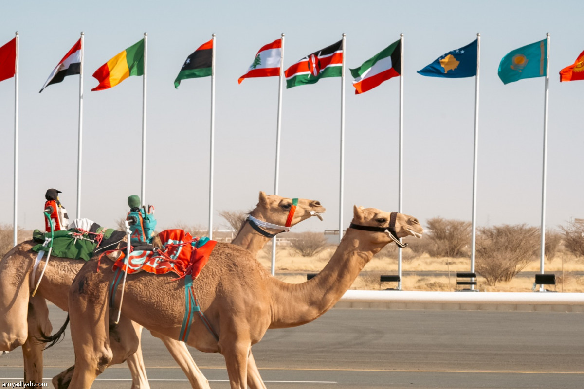 مهرجان ولي العهد.. انتظار وشغف