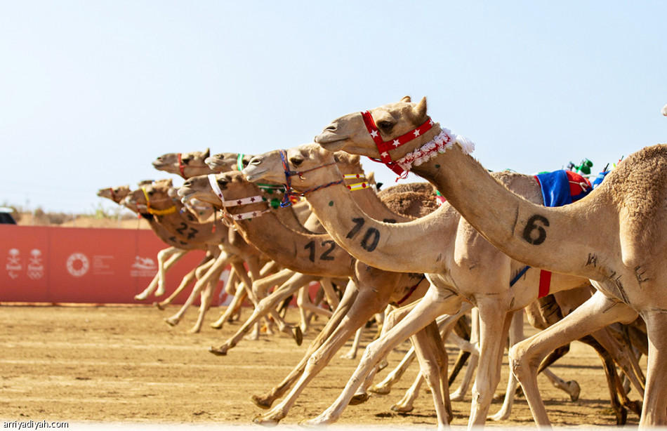 فئة حيل ـ عام.. 
«فرق» الأسرع توقيتا