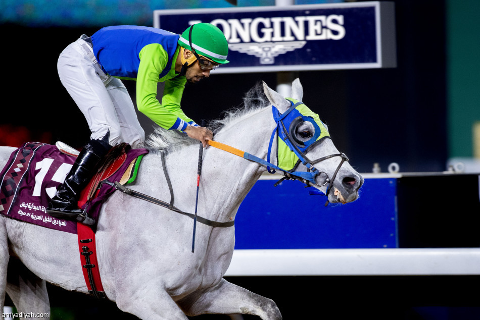«الكاسر» بطل الميادين التمهيدية للخيل العربية