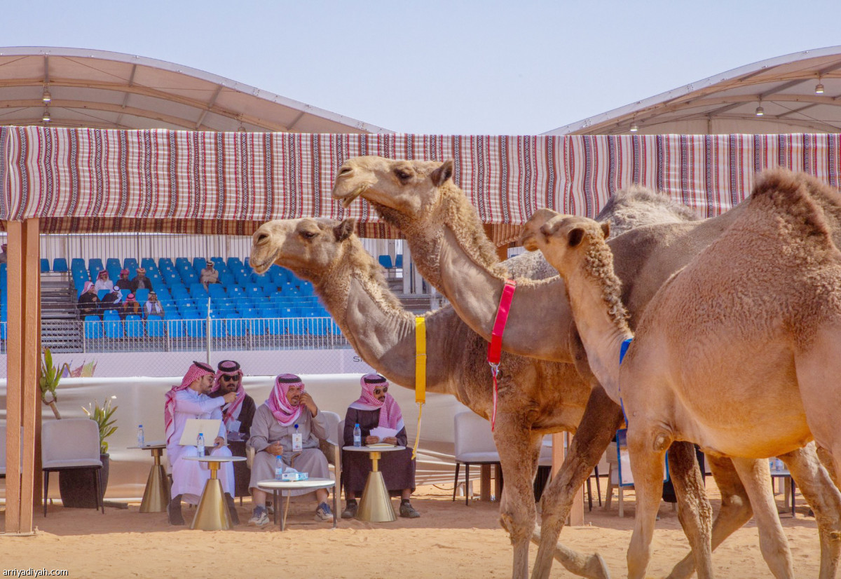 بيرق الموحد.. ابن سمار الأول