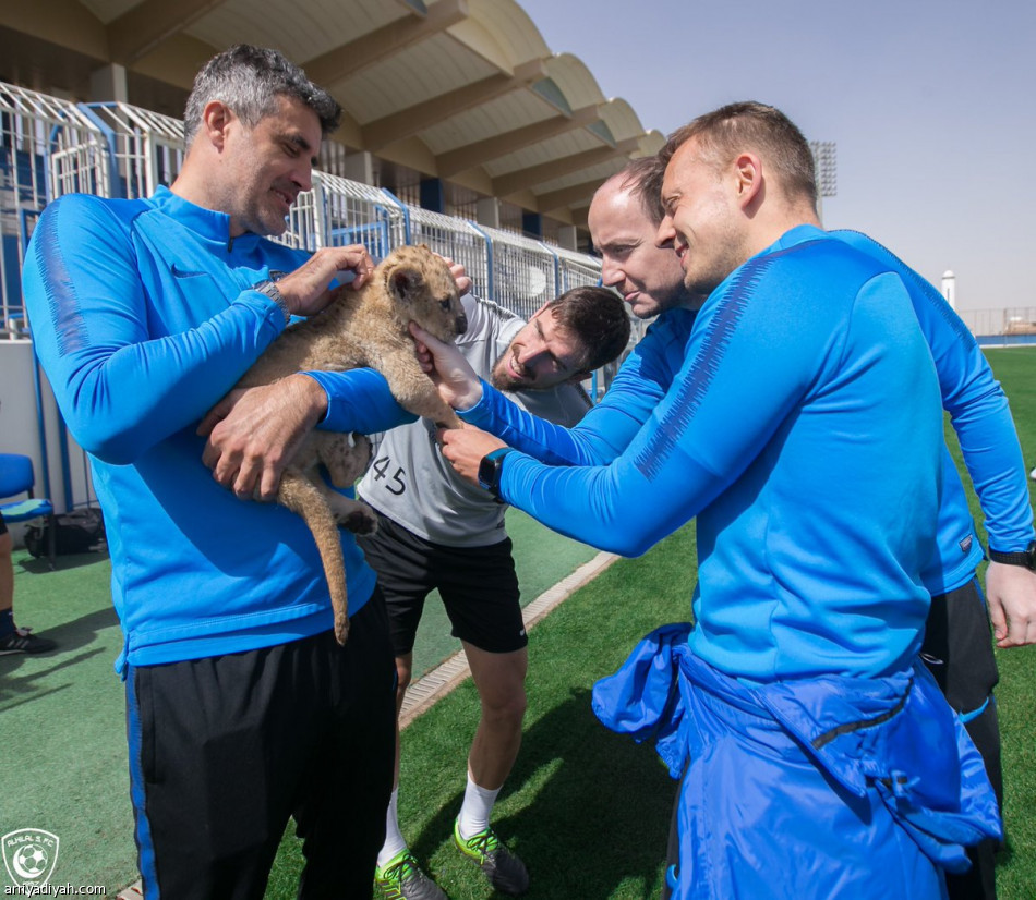 «شبل» يظهر في تدريبات الهلال قبل الاتحاد