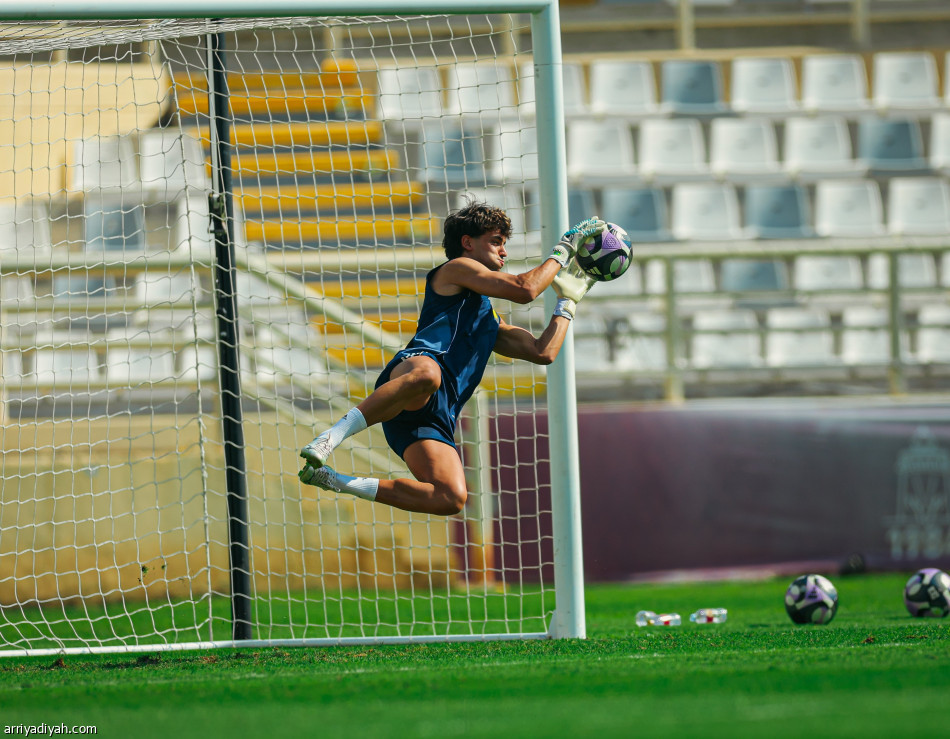 استعداد قبل الوحدة