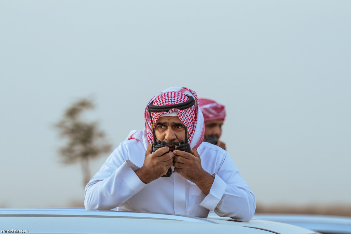 سيطرة سعودية